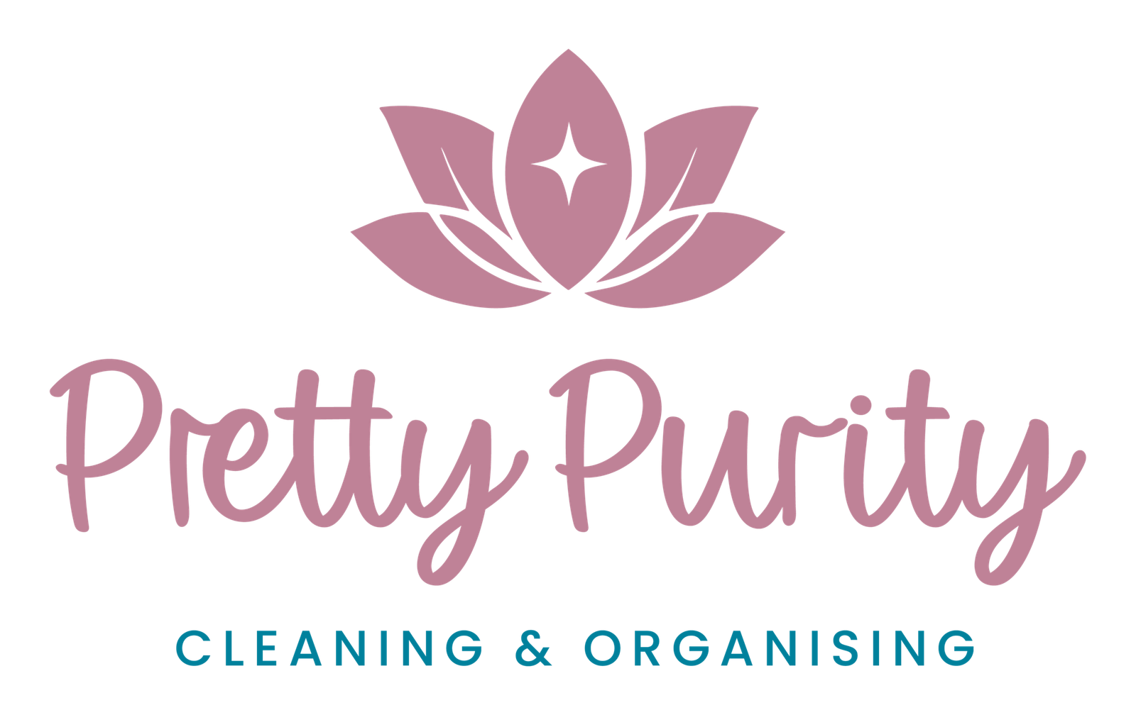Pretty Purity Cleaning